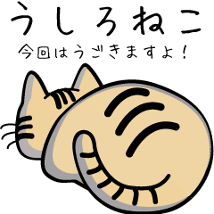 [LINEスタンプ] うしろネコ アニメ 今度はうごきますよ！