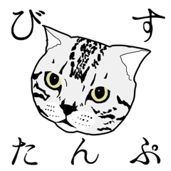 [LINEスタンプ] びすたんぷ