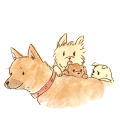 [LINEスタンプ] 犬一家