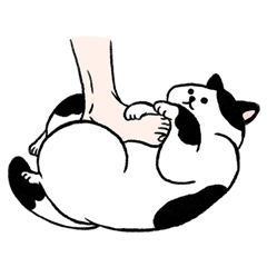[LINEスタンプ] The daily life of two Cats I know