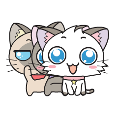 [LINEスタンプ] Hoshi ＆ Luna Diary[Animated]の画像（メイン）