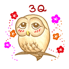 [LINEスタンプ] so so bird - cute owl