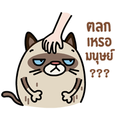 [LINEスタンプ] GAGO - Fat Cat Your Friend