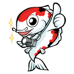 [LINEスタンプ] Discovery Koi