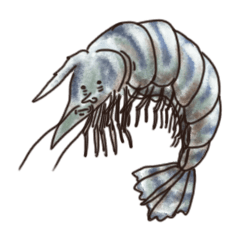 [LINEスタンプ] Happy Sea Friends