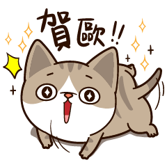 [LINEスタンプ] Little Cute Cat~の画像（メイン）