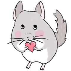 [LINEスタンプ] チンチラのむいむい