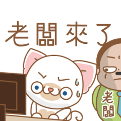 [LINEスタンプ] fluffiness in the officeの画像（メイン）