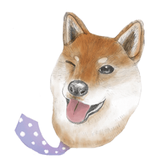 [LINEスタンプ] Shiba Huck