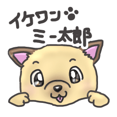 [LINEスタンプ] 柴犬カットのイケワンヨーキー vol.2