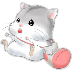 [LINEスタンプ] Hamsters sock (DA BAO DAI)