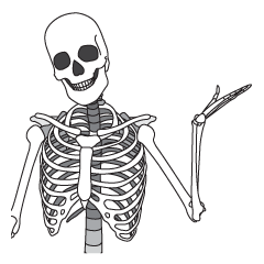 [LINEスタンプ] Bone body-Johnny No. 18