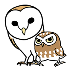 [LINEスタンプ] メンフクロウさんとコキンメフクロウさん