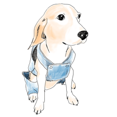 [LINEスタンプ] Beagle Daily Life (English ver.)