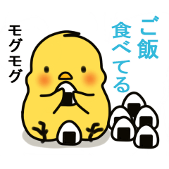 [LINEスタンプ] ひよこ乃ピヨッピー3