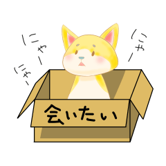 [LINEスタンプ] 構ってにゃんこ