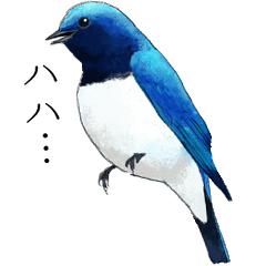 [LINEスタンプ] 日本の野鳥～夏山の野鳥～の画像（メイン）