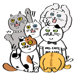 [LINEスタンプ] LEO THE CAT.のおねこ様。