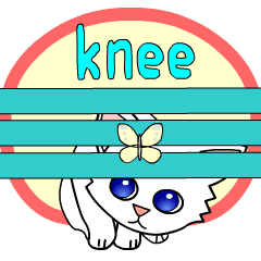 [LINEスタンプ] 猫のしぐさ