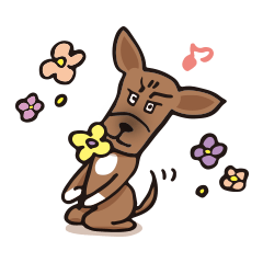 [LINEスタンプ] こわ顔ですが、びびり犬。まちょむ