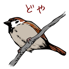 [LINEスタンプ] スズメちん