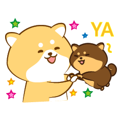 [LINEスタンプ] Cute Shiba Inu with its new friend ！