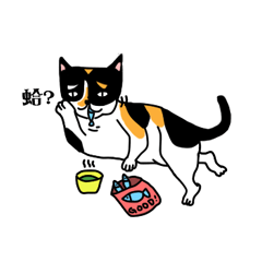 [LINEスタンプ] calico cat with american Shorthair