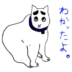 [LINEスタンプ] 困り眉のネコ
