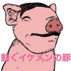 [LINEスタンプ] 動くイケメンの豚〜