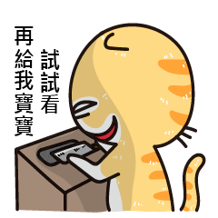 [LINEスタンプ] Crazy cat for the funny chat