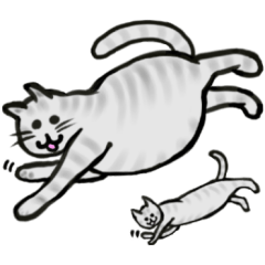 [LINEスタンプ] 灰色にゃんこミウタン