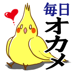[LINEスタンプ] 毎日オカメ 
