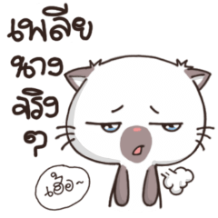 [LINEスタンプ] Meow the Meaw