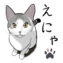 [LINEスタンプ] エナにゃん