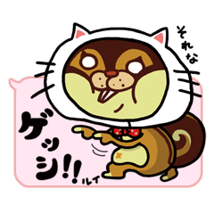 [LINEスタンプ] ネコカブリス