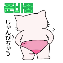 [LINEスタンプ] かばん猫 韓国語の画像（メイン）