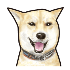 [LINEスタンプ] 可愛い犬の日常