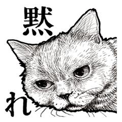 [LINEスタンプ] めるのデッサン黙れねこスタンプ