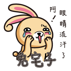 [LINEスタンプ] Rabbit Kid - A fusspot live