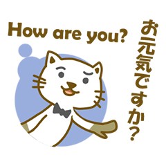 [LINEスタンプ] Odd Cat Snowy