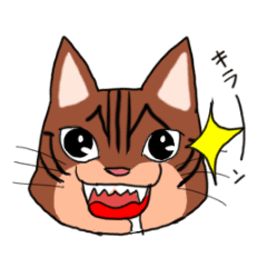 [LINEスタンプ] アメショー君が行く