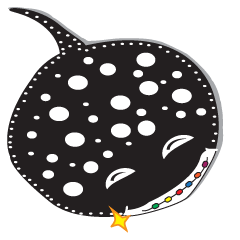 [LINEスタンプ] Well Rays