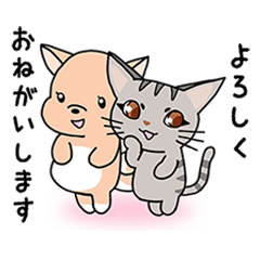 [LINEスタンプ] やる気のない犬と猫