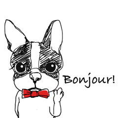 [LINEスタンプ] French bulldog Truffle French-speaking