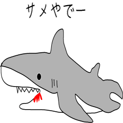 [LINEスタンプ] サメさん