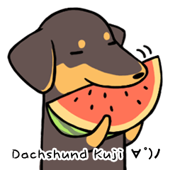 [LINEスタンプ] Dachshund Kuji