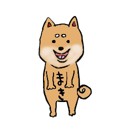 [LINEスタンプ] 柴犬のまきちゃんスタンプ