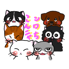 [LINEスタンプ] こんニャちワン