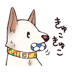 [LINEスタンプ] 白いわんこの日常の画像（メイン）