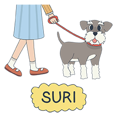 [LINEスタンプ] Suri the Schnauzer